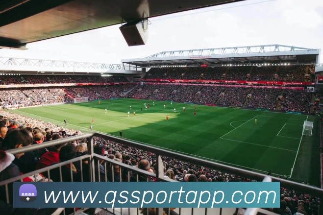 球速体育APP平台生态图